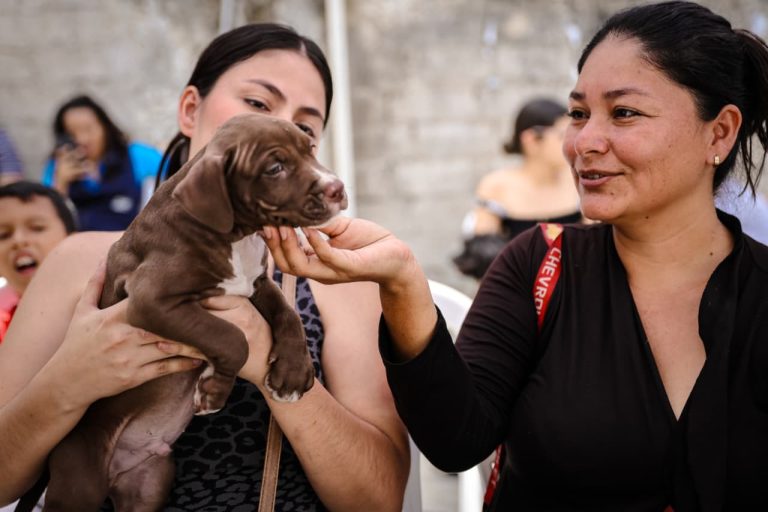 Feria «Compartir Ciudadano» acercó servicios municipales a más de 500 moradores de Brisas del Norte