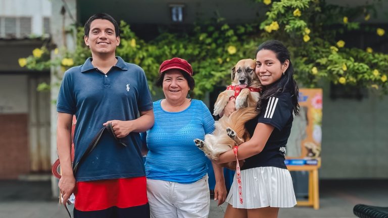 Entre música, baile y emprendimientos, Ruta Centro llena de vida el corazón de la urbe